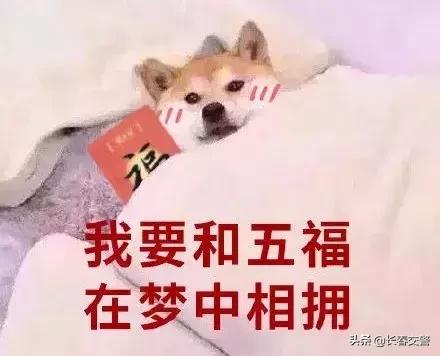 警惕!当你在疯狂集福时,有人已盯上了你的钱包!