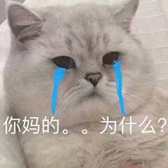 当代练实力有什么要求,有什么样的技术可以当代练