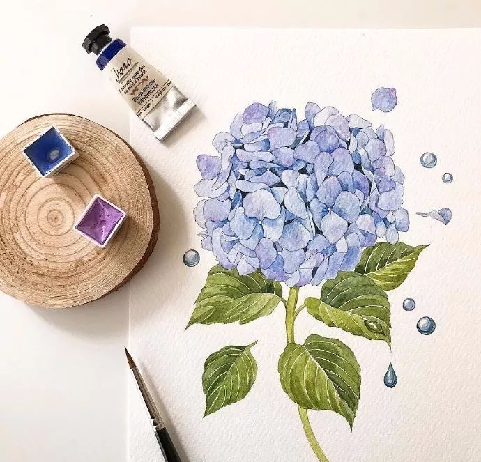 水彩画初学者的技巧和方法,画水彩需要注意的20点