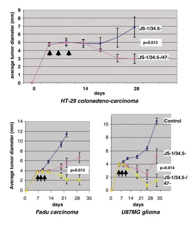 溶瘤病毒最新研制药,溶瘤病毒产品