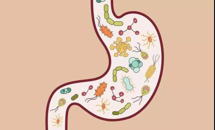 爽身粉致癌有哪些,爽身粉致癌案例判决