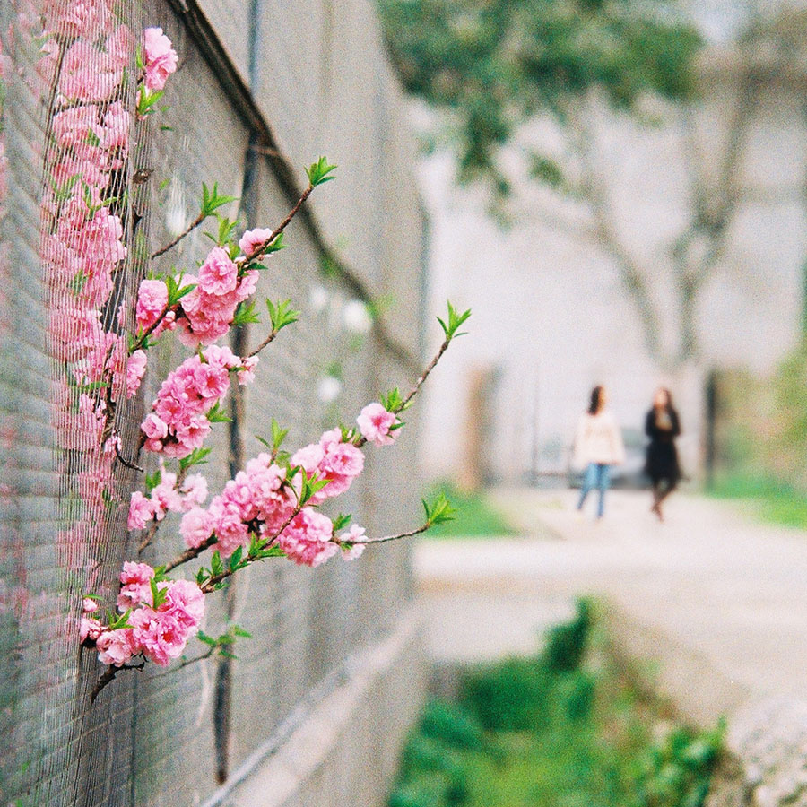 第9篇关于二手（这是个沉重而有趣的话题）