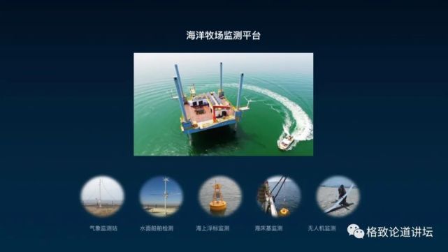 除了能提高人体免疫力，这个“肥宅”还是海底清道夫