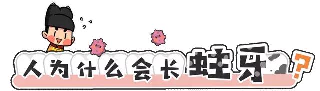 牙齿最坚硬的部分叫什么,怎么判断牙齿的磨损程度