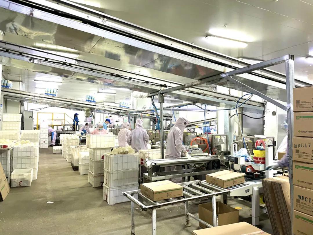 康平发展,康平县企业