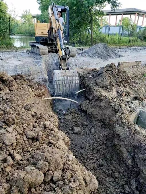 江阴长江之星农业湿地生态园,江阴利港黄丹村湿地保护区