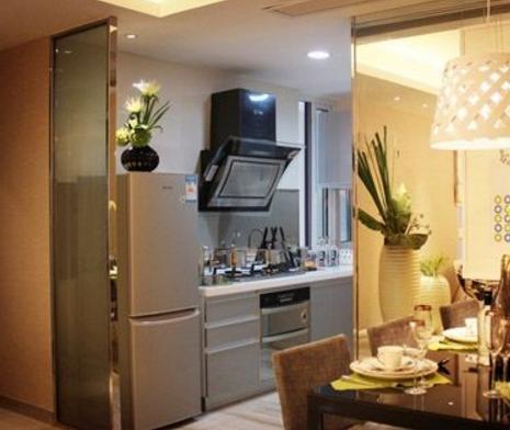 双开门冰箱橱柜效果图,冰箱橱柜装修效果图最流行款