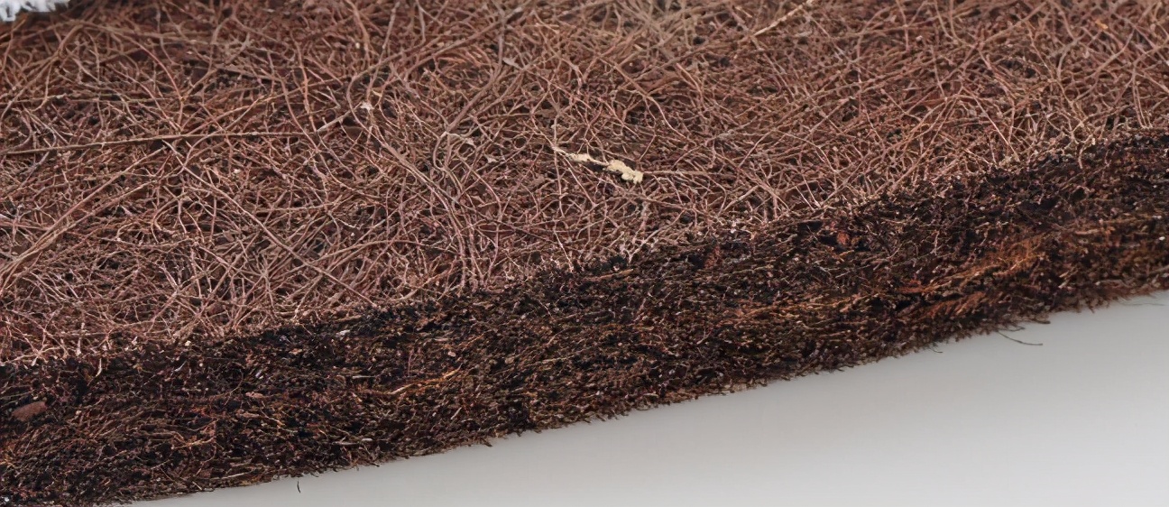 天然椰棕床垫能洗吗,什么的椰棕做床垫比较好