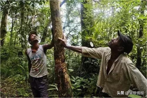 你会选哪一张床,当你累了会选择哪张床