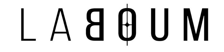 laboum组合回归时间,100支女团