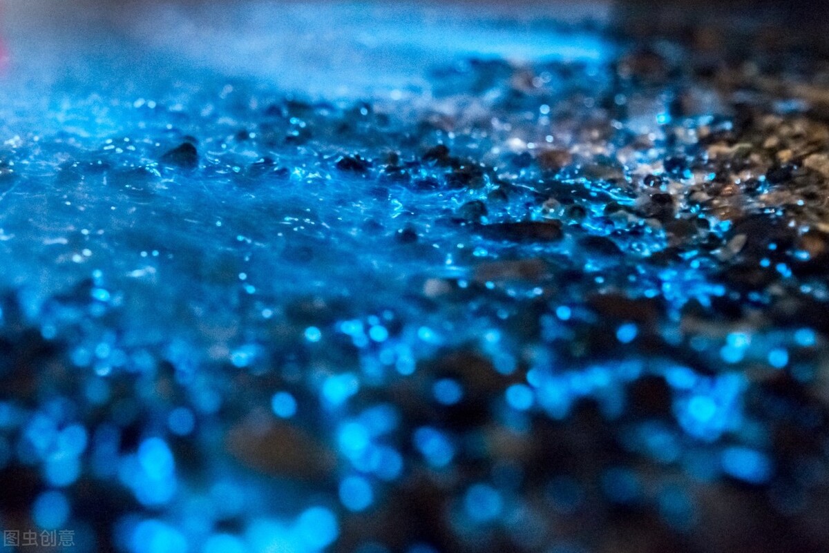 离上海近的荧光海,离上海很近的海