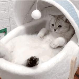 钢铁直男的九大特征咋撩,当钢铁直男听到土味情话