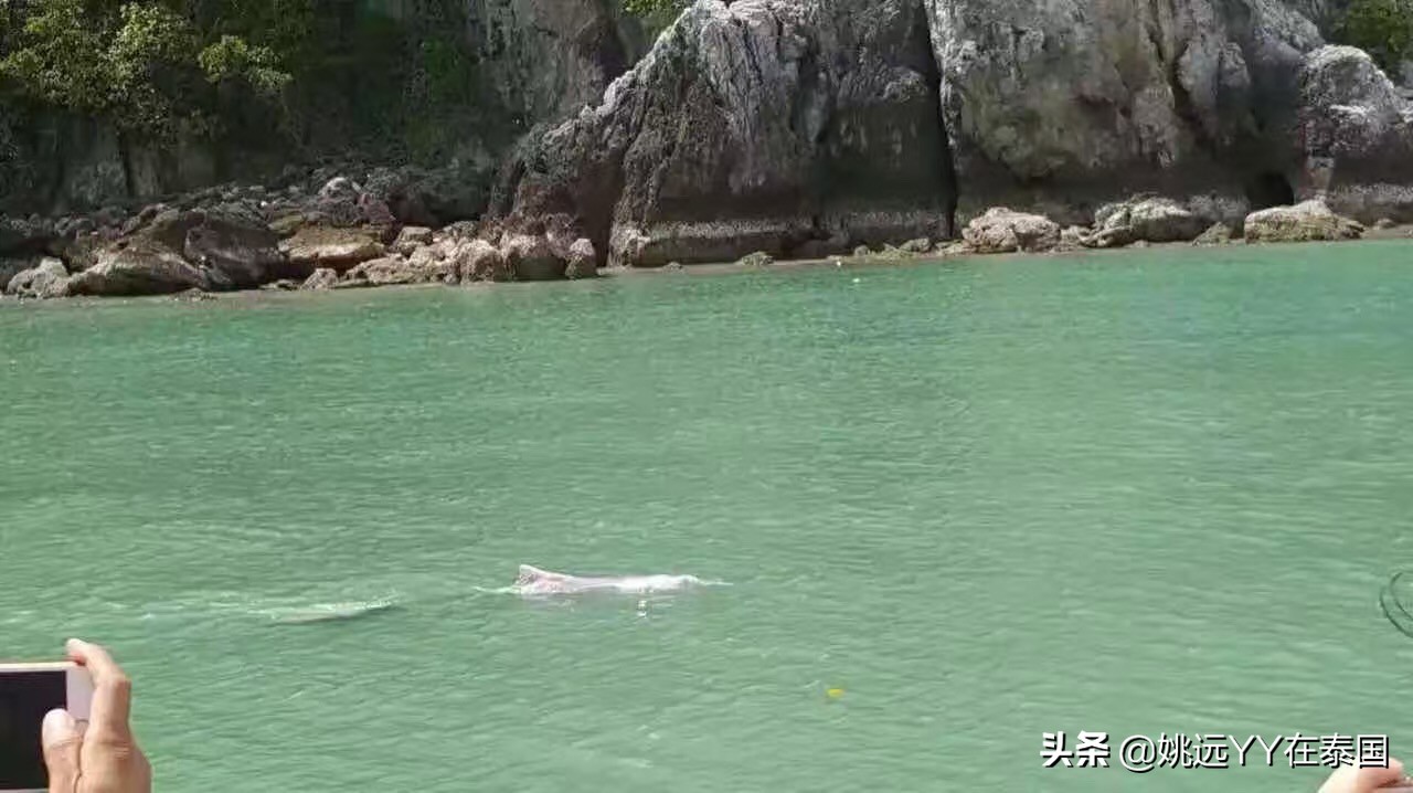 泰国苏梅岛旅游景区图片,泰国苏梅岛景点