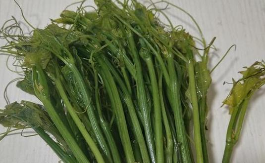 夏天必吃的10道菜最后一道绝了,推荐一款夏天比较适合吃的菜