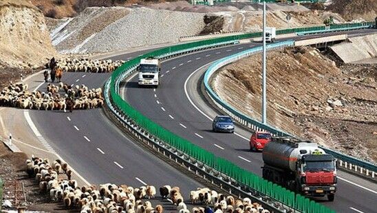 新疆十八怪完整版,新疆十八怪全景