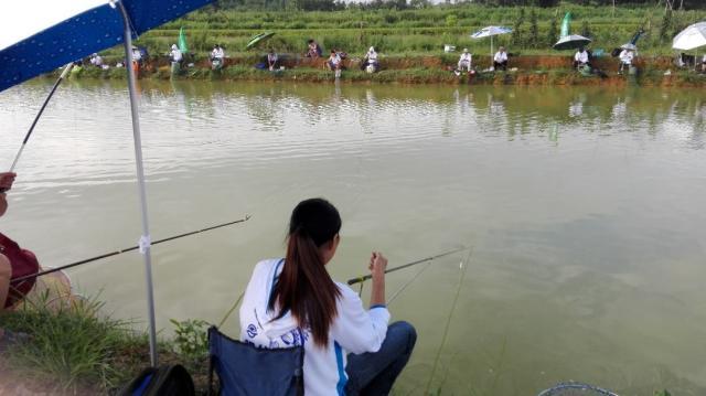 秋季鱼塘老鱼如何钓,秋天鱼为什么那么难钓