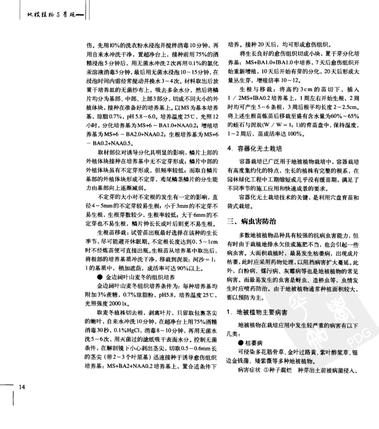 地被植物景观配置,优良地被植物