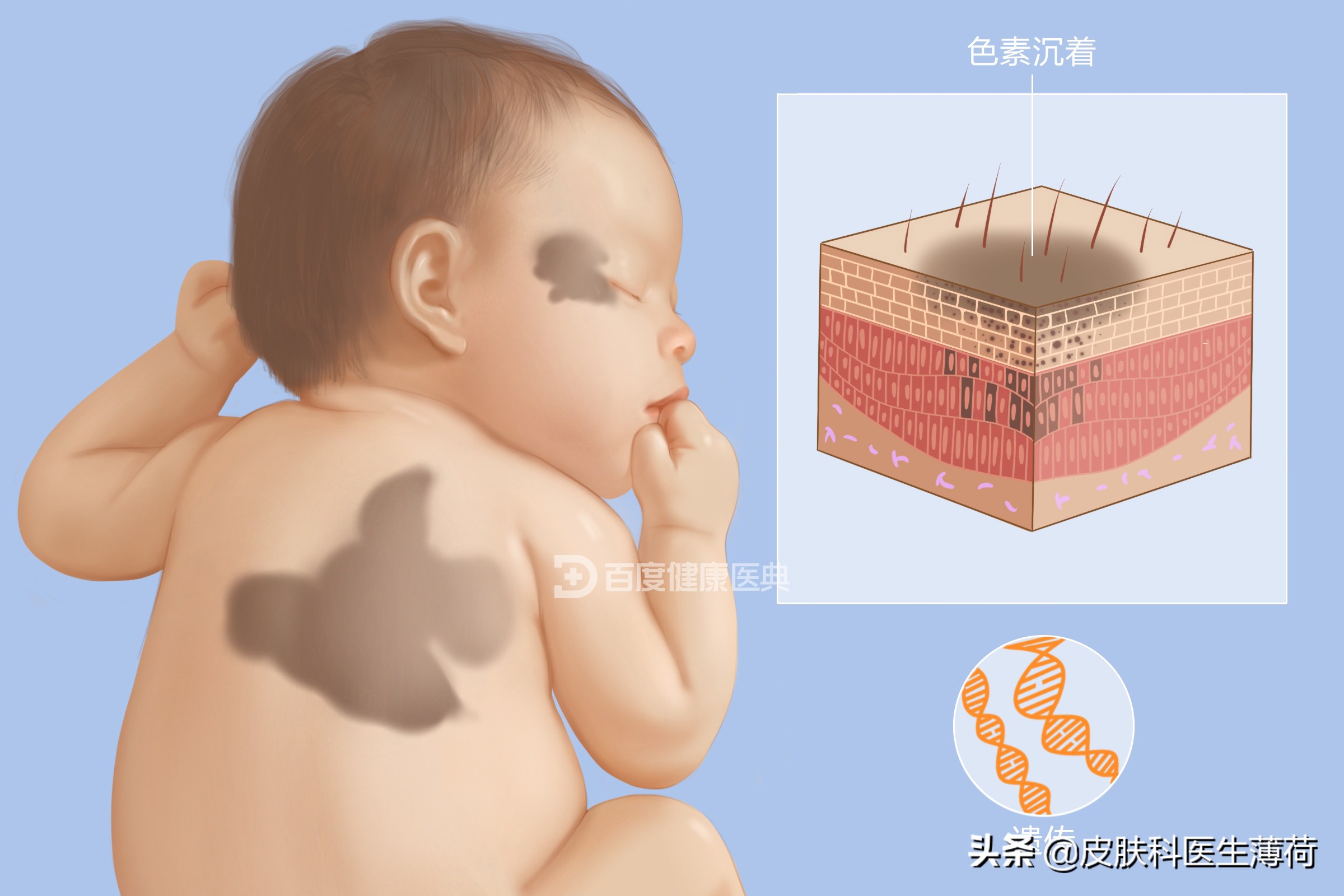 看图识皮肤病,看图识病是什么病