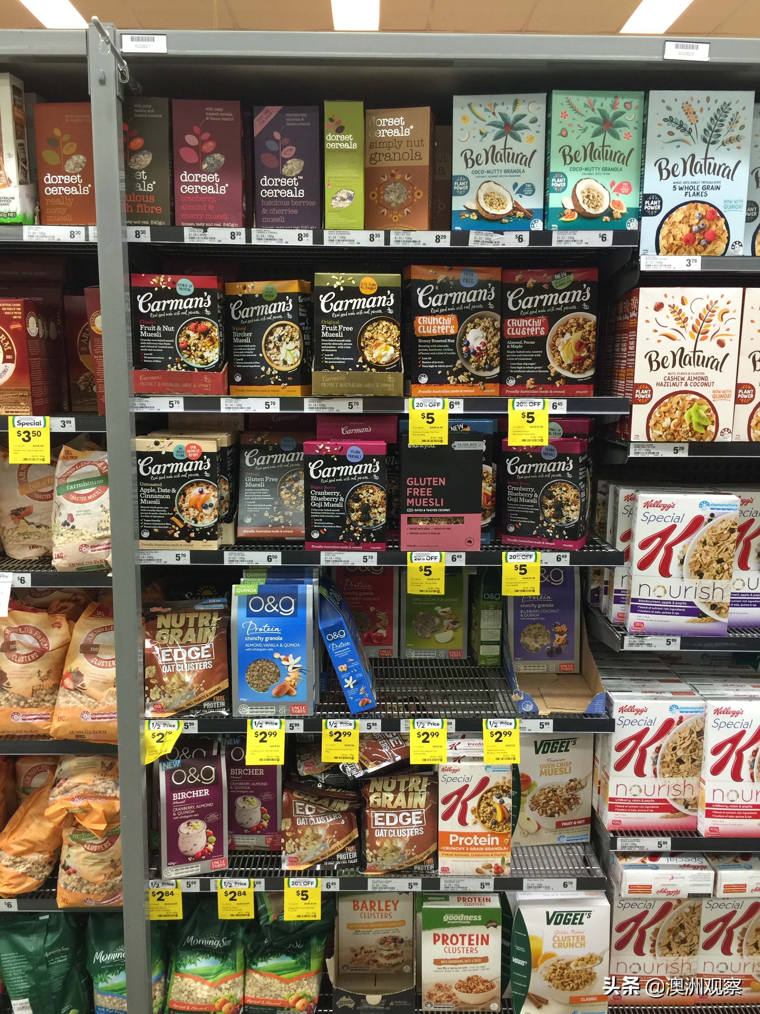 带你逛逛澳洲,带你看看物价有多贵