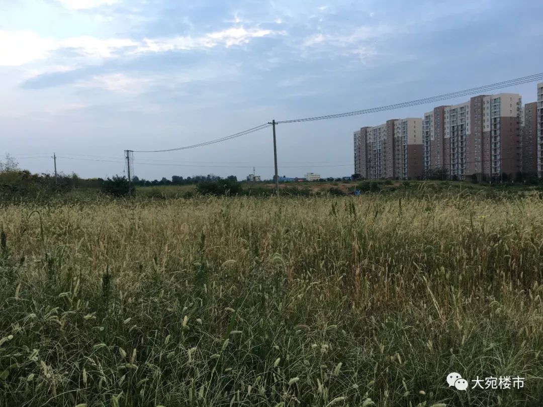 南阳三馆一院是不是每天都开,南阳三馆一院平时人多不