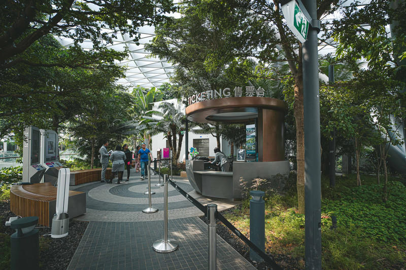 一人一猫环游,一人一猫旅行