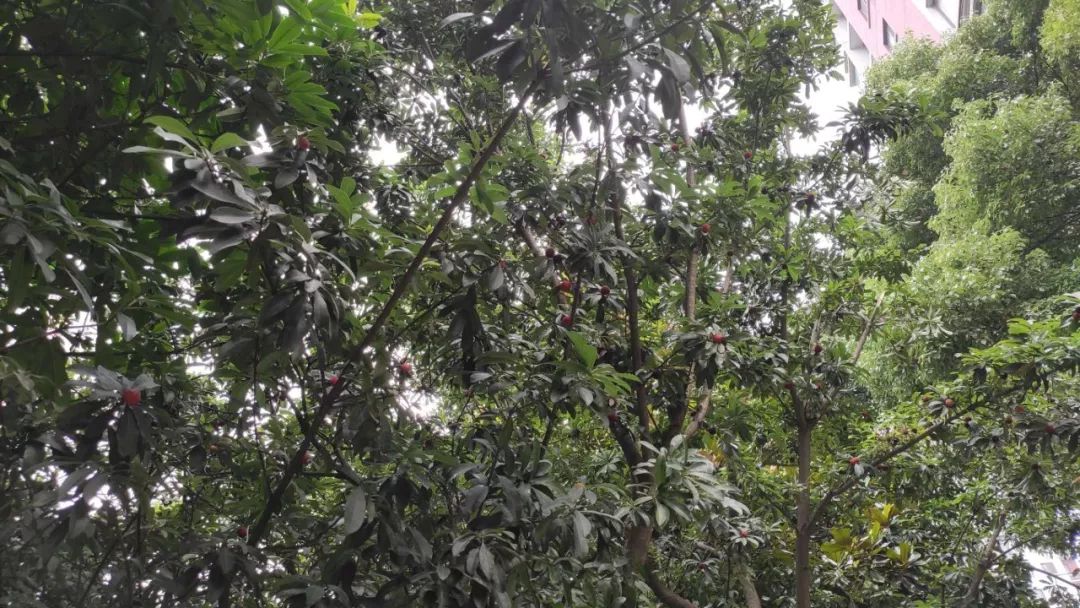 是谁给你的勇气原版视频,是谁给你的勇气歌曲