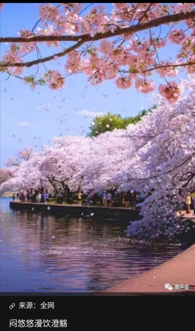 中国文化酒的别称,竟有285个,我又一次孤陋寡闻了