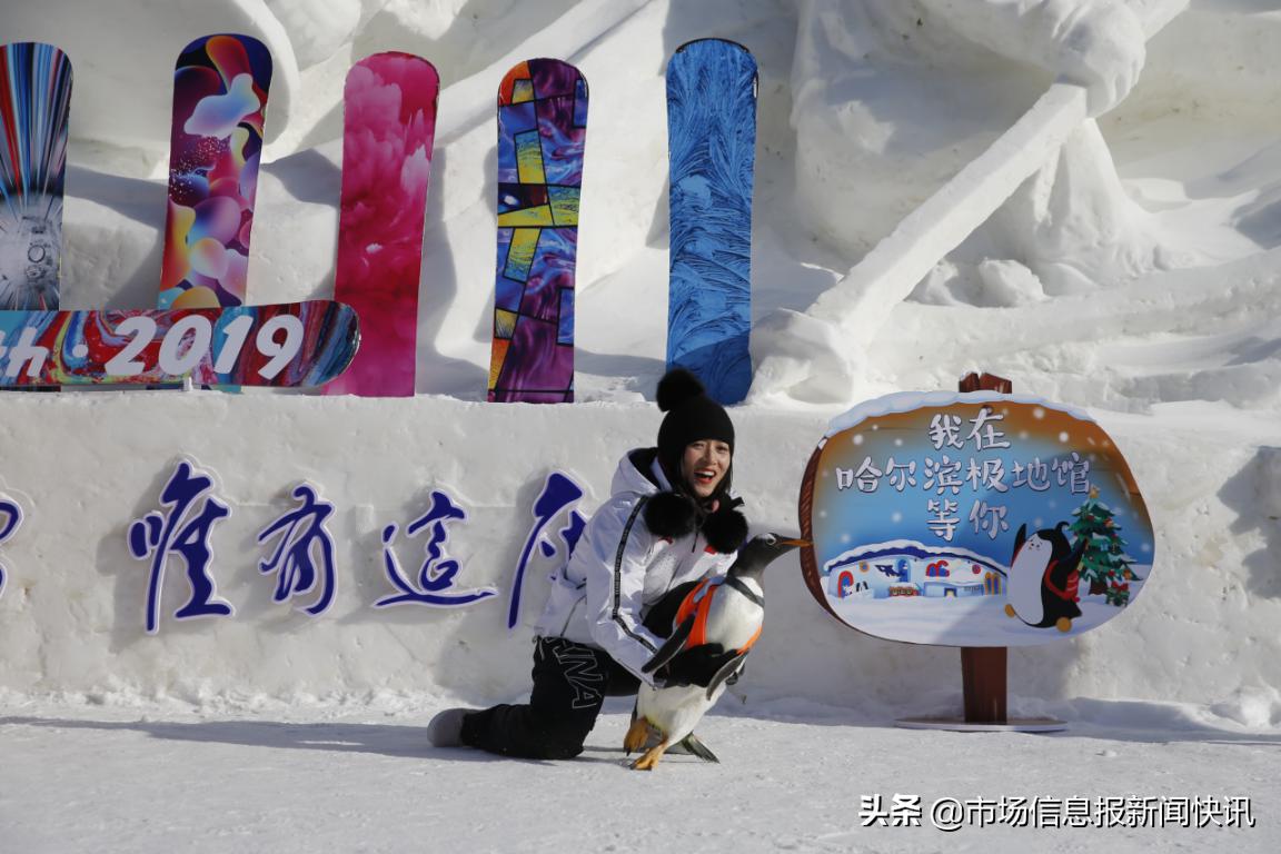 直升机助阵开幕式淘学企鹅现场卖萌第17届亚布力滑雪节开幕式亮点频现