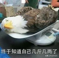 小米平板5pro安卓12,小米平板恢复模式