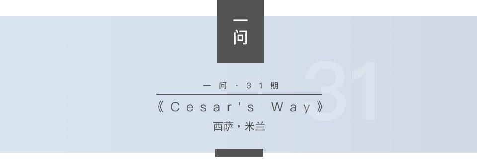 各个品种狗狗的优点和缺点,一分钟看懂狗狗品种