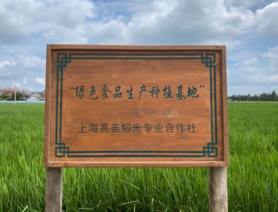 上海品牌展会央视网,上海亮苗大米