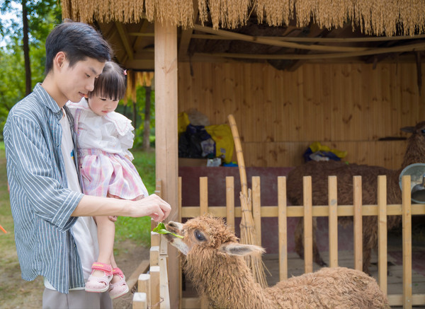 同里古镇亲子游,同里湖度假村亲子游