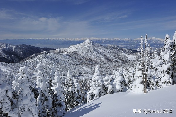 日本羽田机场客机爆燃详细情况,日本羽田机场客机爆炸伤亡多少