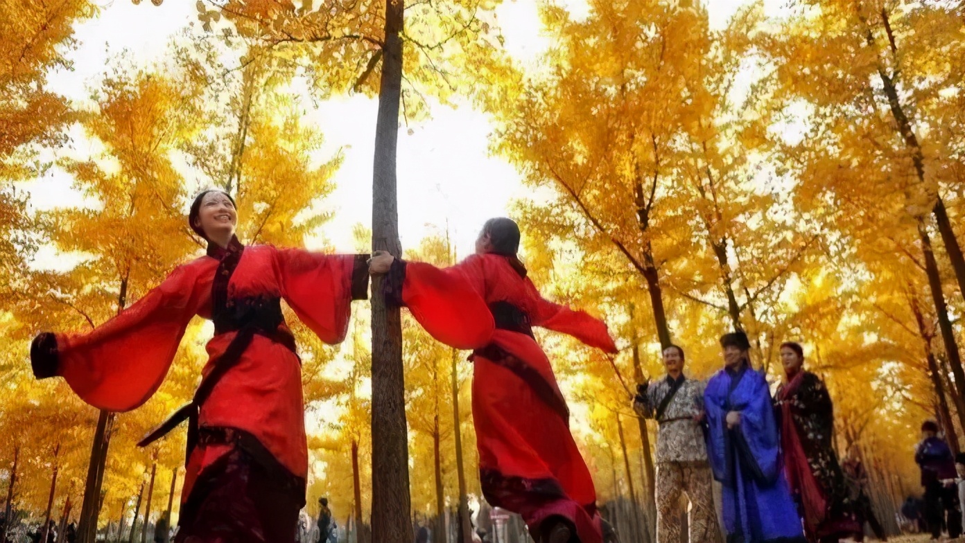 秦宫站到汉阳陵景区直通车,去汉阳陵免费直通车