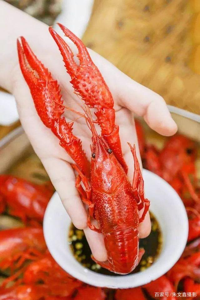 小龙虾原产地潜江深夜小龙虾盛宴,舌尖上的美味小龙虾