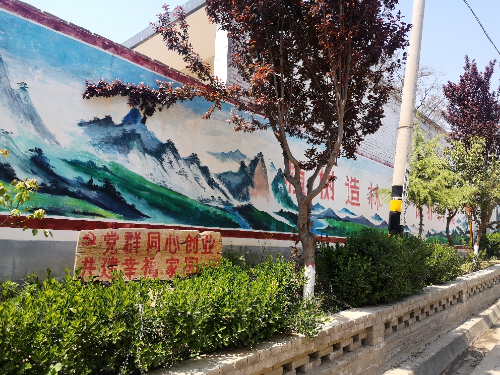 美丽乡村阿庄图片,铜川市美丽乡村名单