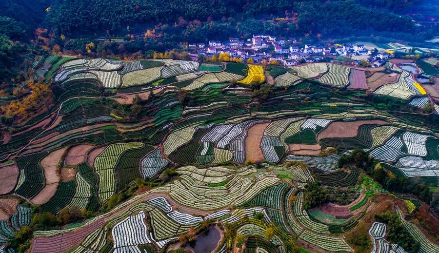 绩溪徽菜发源地,安徽徽菜之乡绩溪在哪里
