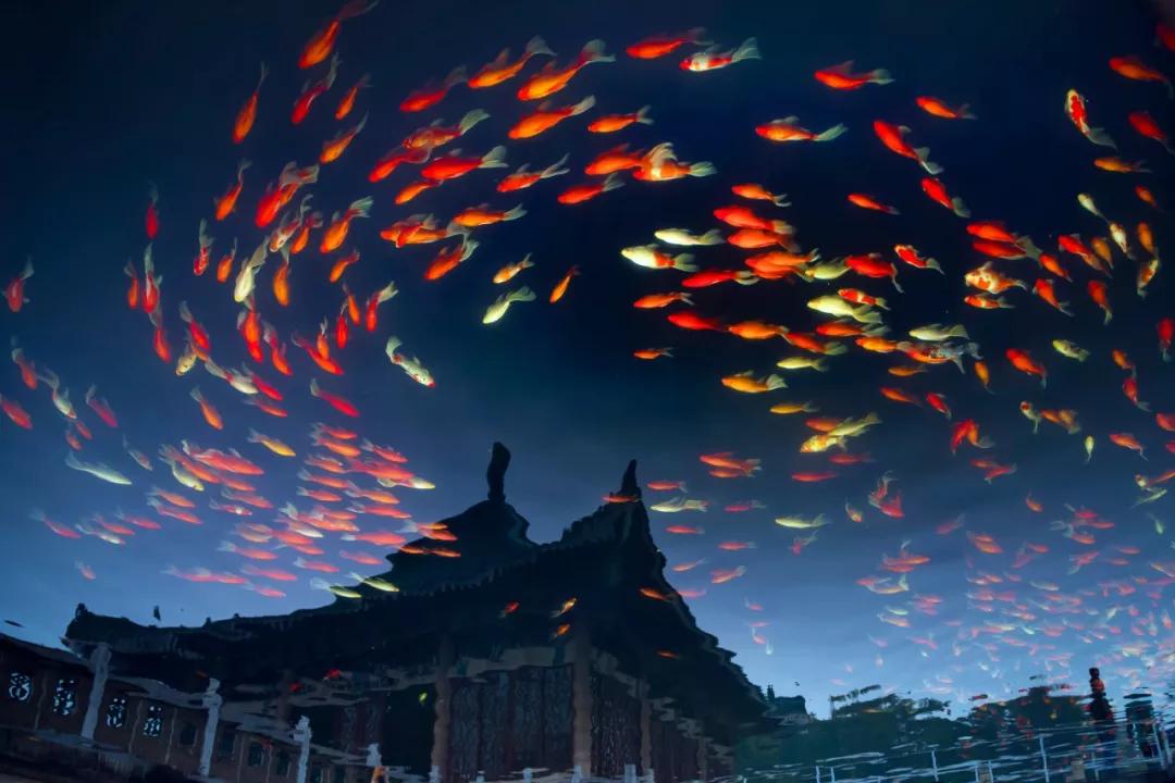 武汉封城第14天，有多少人忘了她到底有多美？