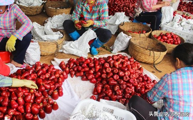 亩产3000斤的水果,南方亩产400斤水果