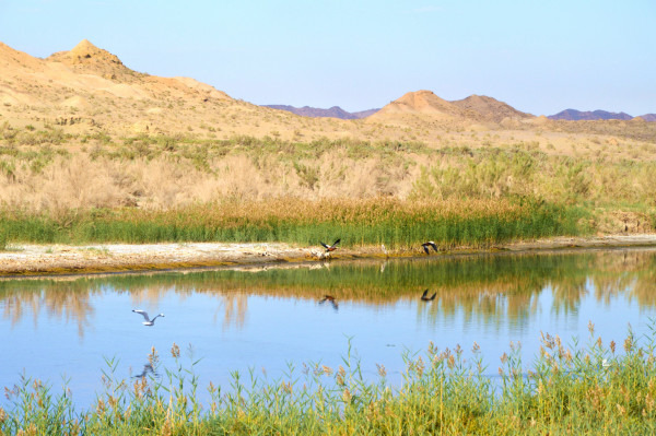 青甘大环线几月份去比较好,甘青大环线旅游跟团游旅行社报价