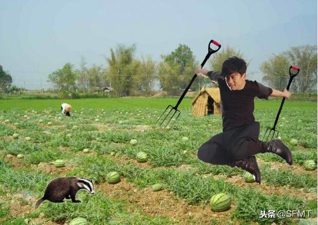 歌词里有skr的说唱,skr歌曲