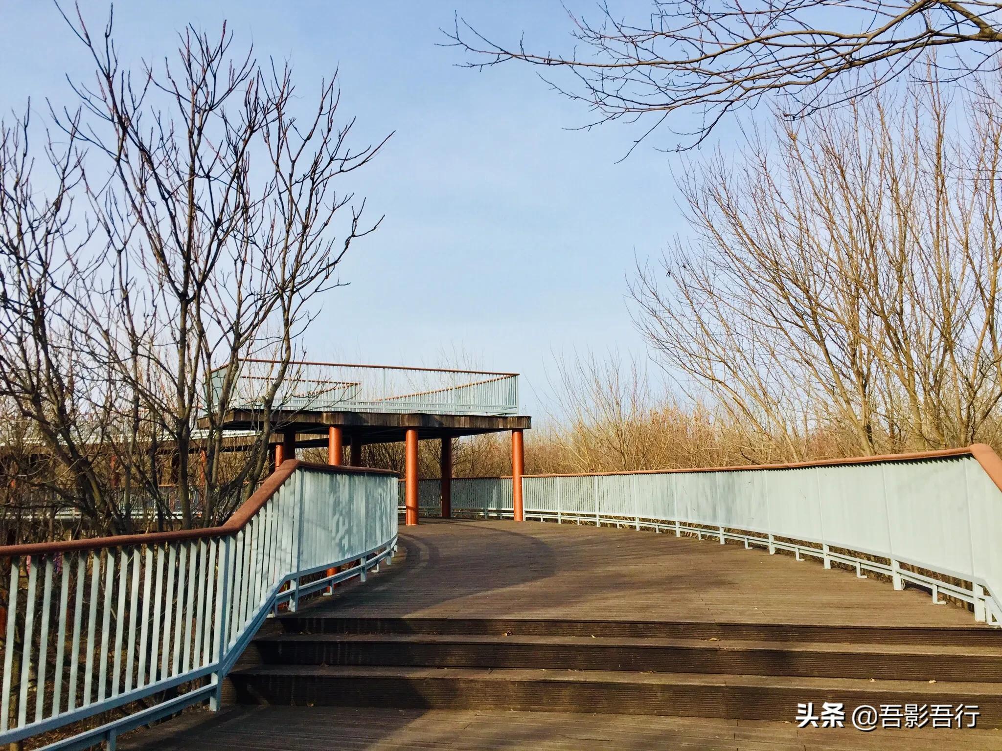 武清津北森林公园有哪些景色,天津武清森林公园开放时间表