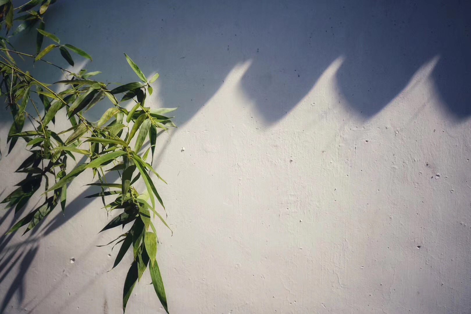 苏州一个很治愈的地方,累了就去这四个地方走走