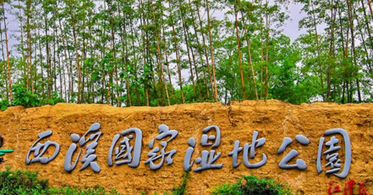 游览杭州西溪湿地,荡漾在四通八达的河道上,沁人心脾,一起看看