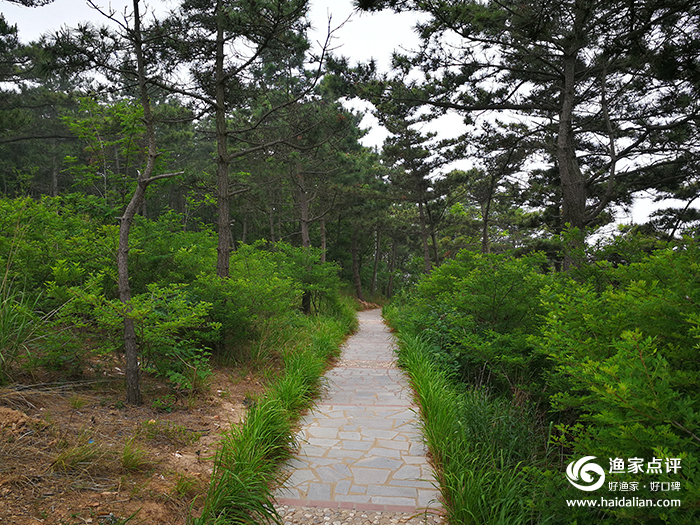 大连哈仙岛旅游攻略方案3天2夜,哈仙岛旅游几月份去最好