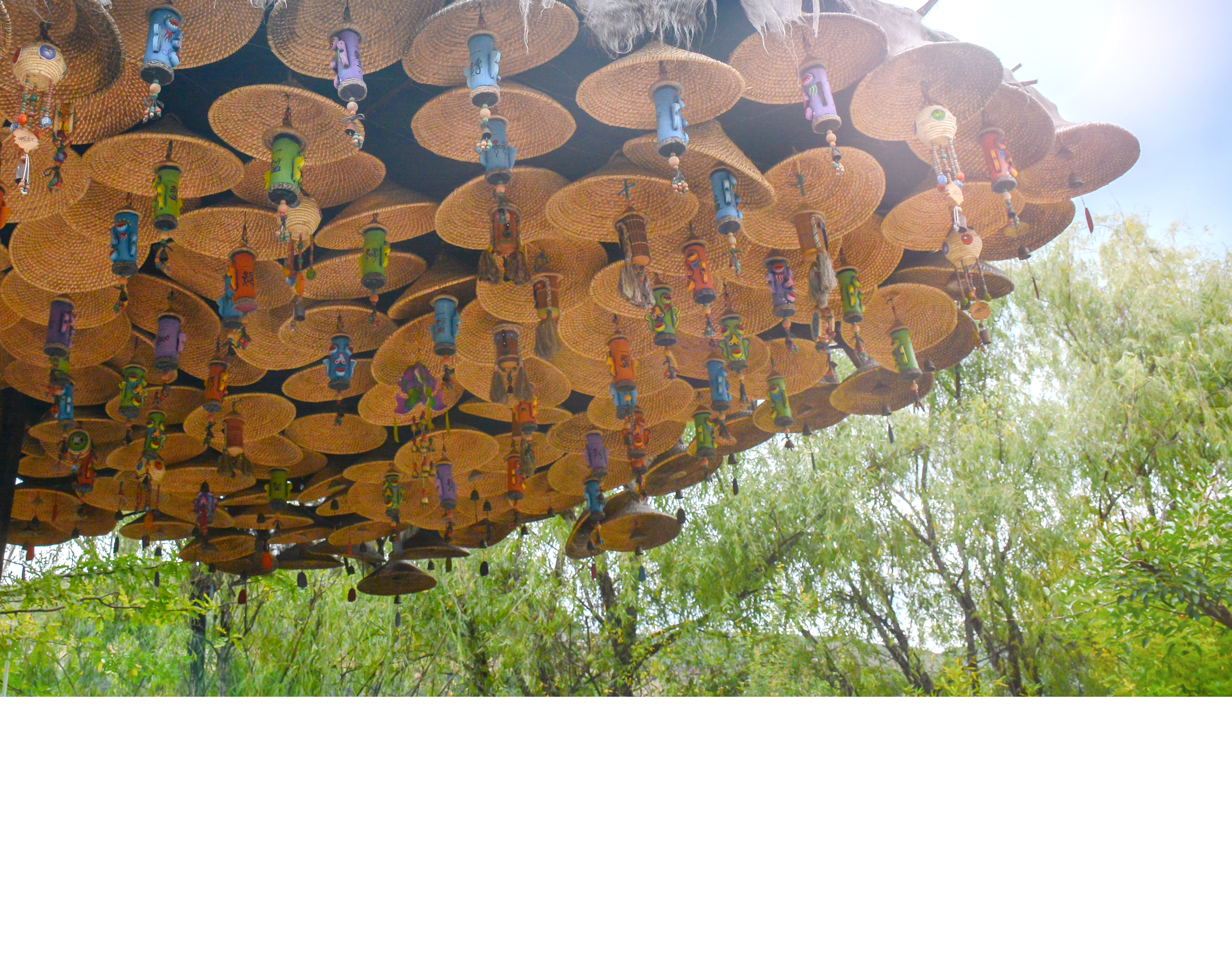 湛江去云南旅游怎么省钱,云南旅游自由行省钱攻略