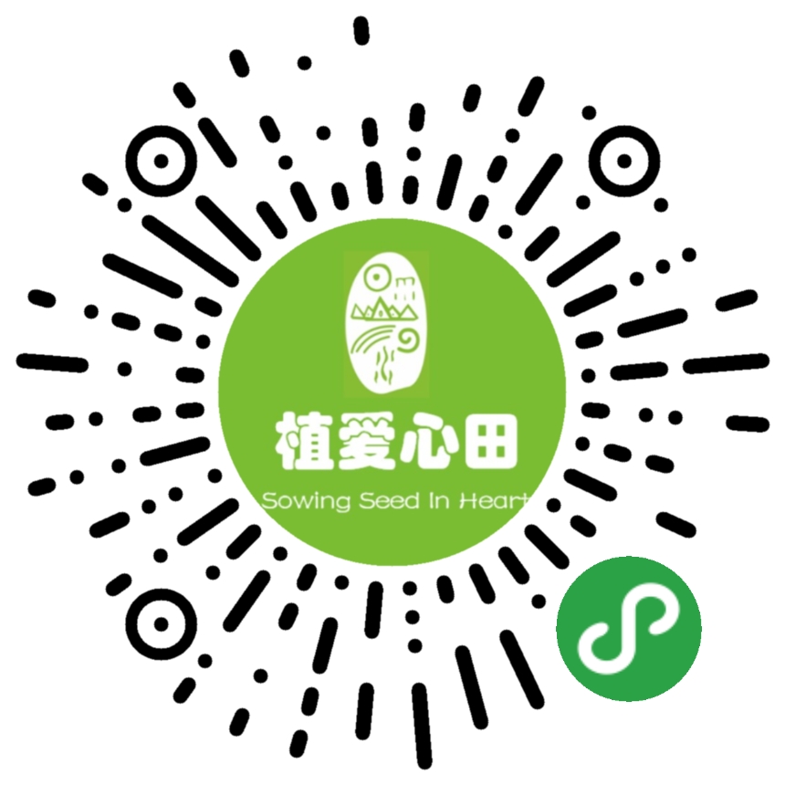 自家菜园子种的纯天然绿色蔬菜,庭院想种植绿色蔬菜怎么种