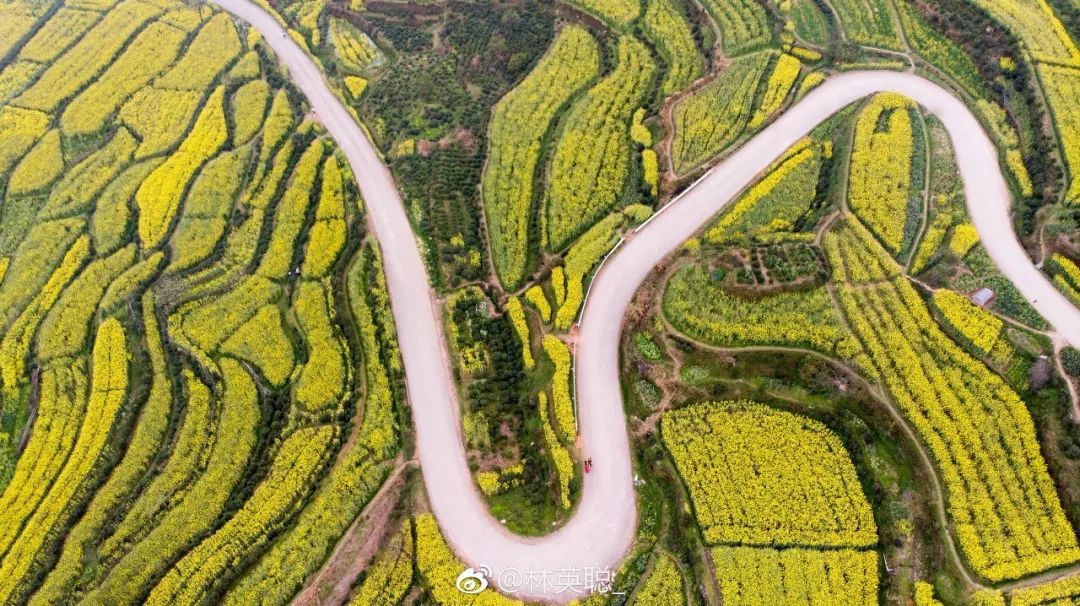 婺源油菜花一日游旅游攻略,婺源油菜花旅游攻略