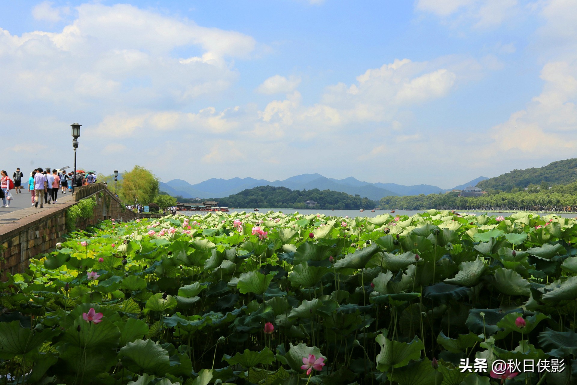 蓝天白云下的荷花“盛宴”，寻访夏日西湖之美，打卡趁现在