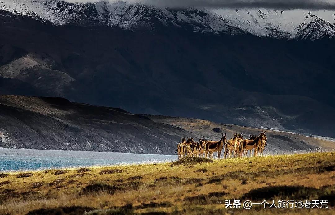 北疆自驾13天路线推荐,国内3条最美出境自驾线